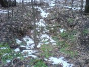 DSC00190.jpg