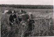 25mm Гочкис.jpg
