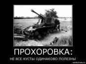 47309249.jpg