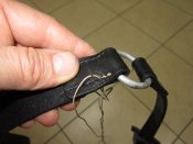 IMG_2770.JPG