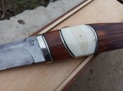 IMG_20200119_093838.jpg