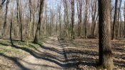 IMG_20200402_161901.jpg