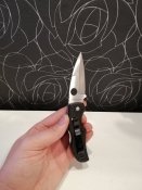 Складной нож Spyderco Native