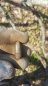 20200403_100455.jpg