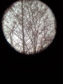 IMG_20200321_105037.jpg