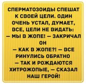 9c73b8c914b4e04d19ae46d9696a34a4.jpg