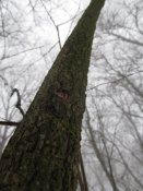 IMG_0897.JPG