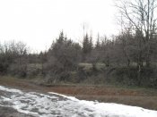 SAM_0952.jpg