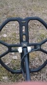 WP_20200331_005.jpg