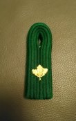 _20200403_184305.JPG