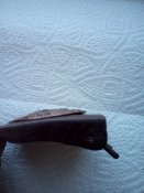 IMG_20200405_102645.jpg