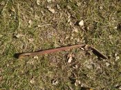 IMG_20200404_114542_1.jpg