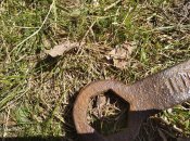 IMG_20200404_114550.jpg