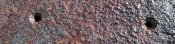 IMG_20200405_165946~2.jpg