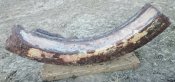 Защита редуктора ведущего катка Pz.6 "Тигр"