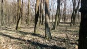 IMG_20200406_115602.jpg