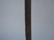 IMG_8958.JPG