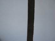 IMG_8964.JPG