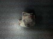 SNC00688.jpg
