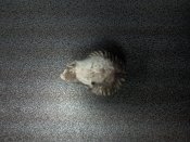 SNC00690.jpg