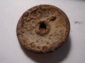 DSCN6106.jpg