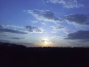 IMG_20200401_184008.jpg