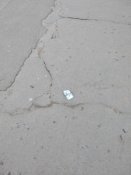 IMG_20200401_192526.jpg