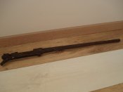 DSC05484.JPG