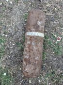IMG_20200410_100744.jpg