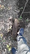 изображение_viber_2020-04-11_18-12-40.jpg