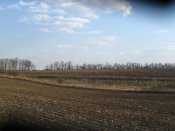 IMG_004.JPG