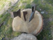 DSCN2617.JPG