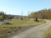 IMG_20200412_181120.jpg