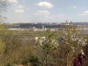 IMG_20200410_151106.jpg