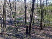 IMG_20200412_174344.jpg
