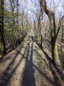 IMG_20200412_174339.jpg