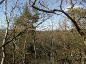 IMG_20200412_163724.jpg