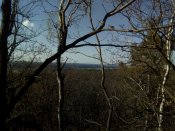 IMG_20200412_163703.jpg