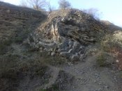 IMG_20200410_173206.jpg