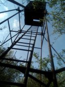 IMG_20200410_164604.jpg