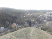 IMG_20200410_162622.jpg