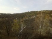 IMG_20200410_162604.jpg