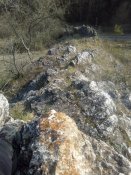 IMG_20200410_161930.jpg