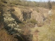 IMG_20200410_161101.jpg