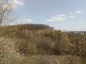 IMG_20200410_161050.jpg