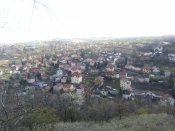 IMG_20200410_155345.jpg