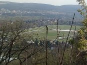 IMG_20200410_151436.jpg