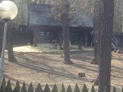 IMG_20200410_145235.jpg