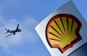 Shell700.jpg