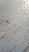 20200414_180740.jpg